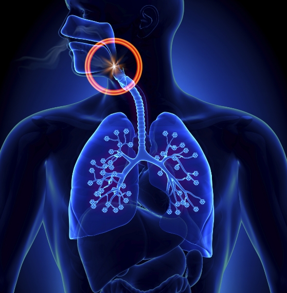 Illustration of a person with their airway circled in red