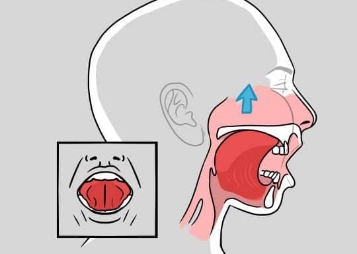 Illustrated person pressing their tongue to the roof of their mouth