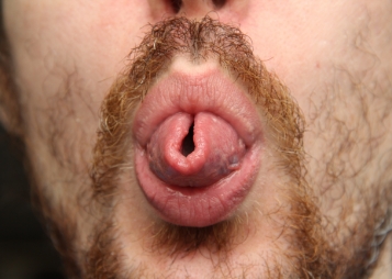 Close up of person making their tongue into a taco shape